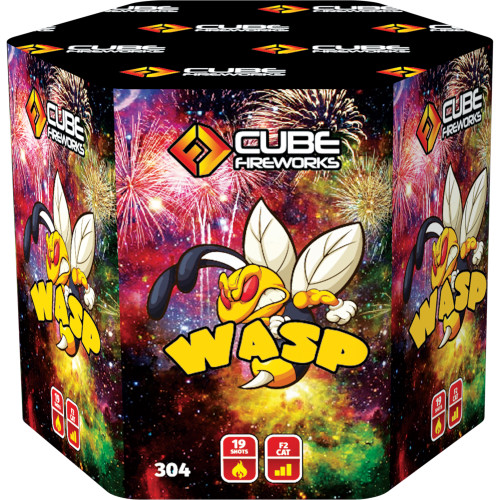 Wasp Fireworks in Bath